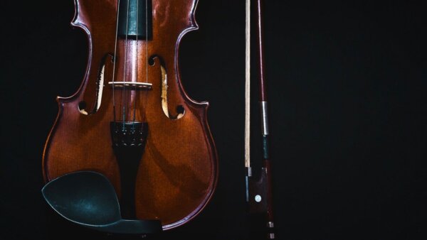 Stradivari a casa del David