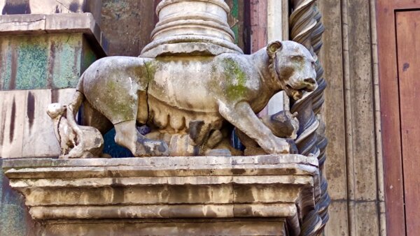 Leoni in Piazza del Duomo a Firenze