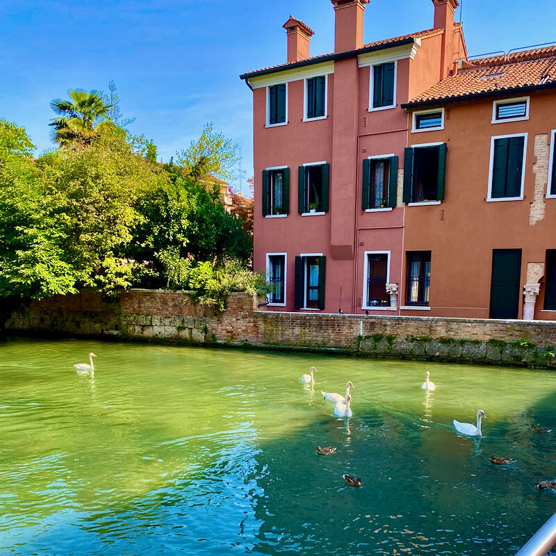 Treviso città d'acque