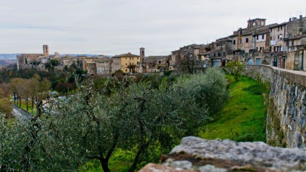 Colle di Val d’Elsa: un incontro fortuito