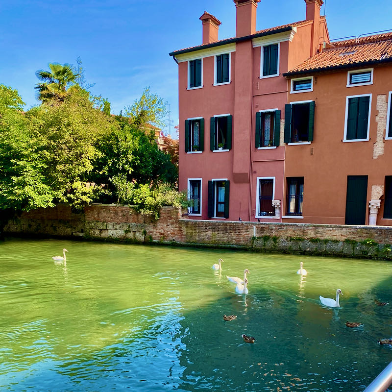 Treviso città d'acque