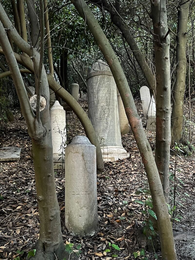 cimitero israelitico pesaro